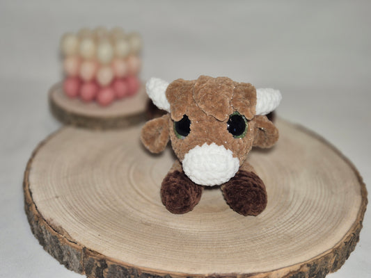 Hilda die Highlandkuh