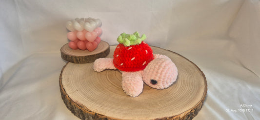 Obstschildkröte - Sommer Kollektion